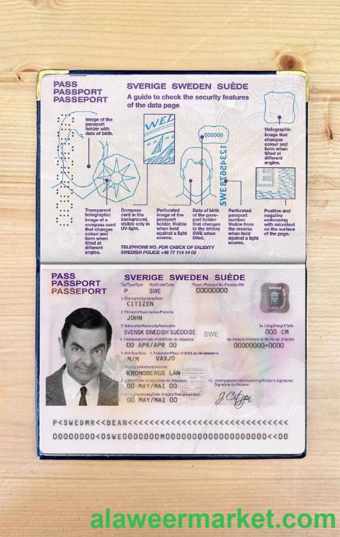 Sweden passport photo look